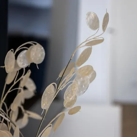 Native Orawska 14/127 *