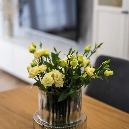 Apartment Native Orawska 14/127 Krakow