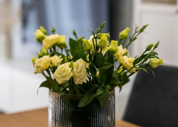 Διαμέρισμα Native Orawska 14/127 Krasków