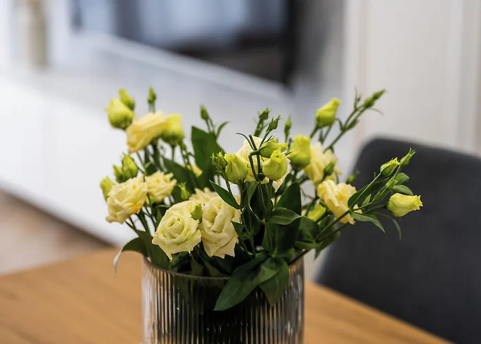 Διαμέρισμα Native Orawska 14/127 Krasków